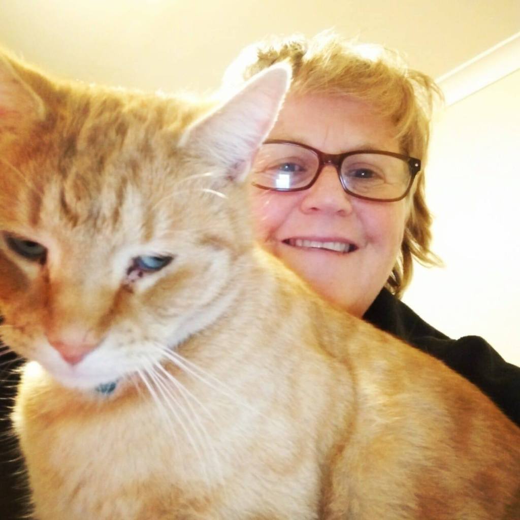 AN INTRODUCTION TO MY FUNNY AVATAR’S LIFE OF&nbsp;WRITING