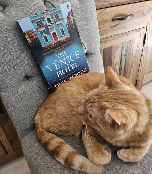 THE VENICE HOTEL by Tess&nbsp;Woods