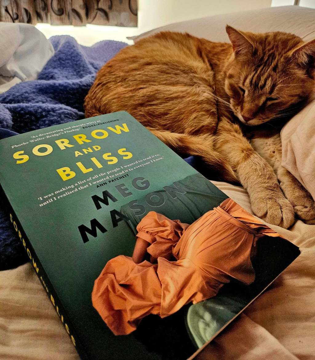 SORROW AND BLISS By Meg&nbsp;Mason.