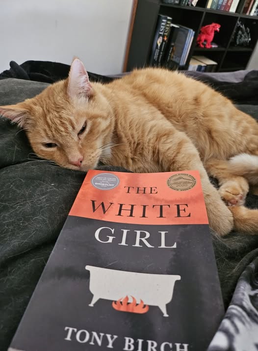 THE WHITE GIRL By Tony Birch