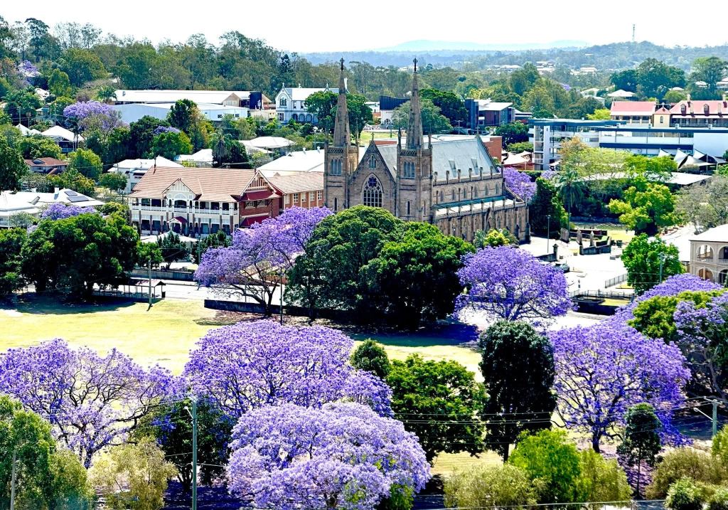 Lenses on Lilac: Jacarandas in Ipswich