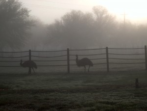 The Power of Storytelling: Turning Inner Struggles into Character Arcs